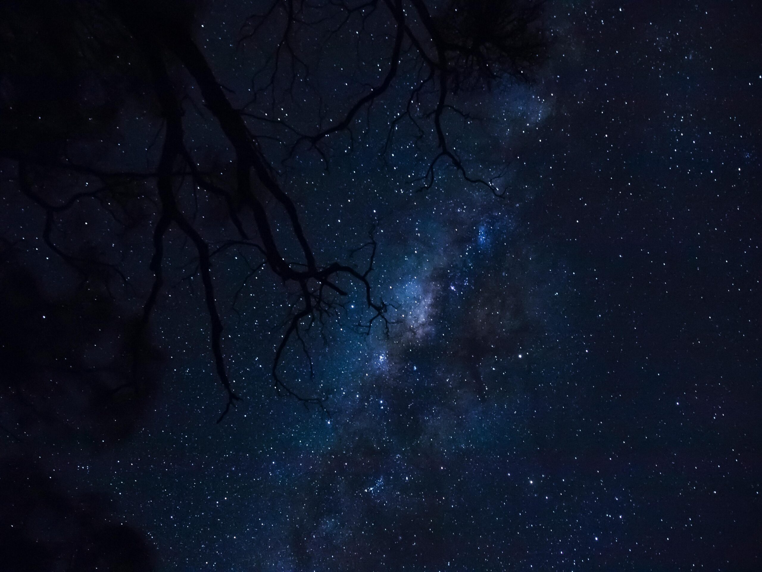 pexels davidpeterson 4359073